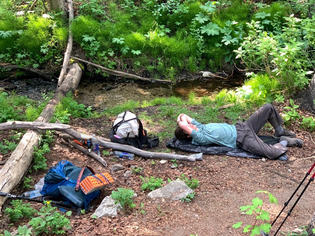 collegiate stream nap