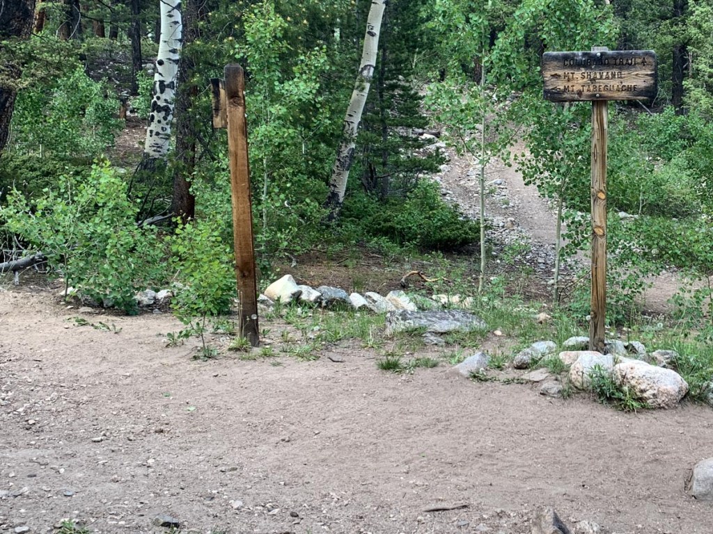 collegiate mt shavano trailhead