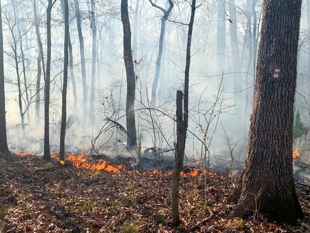 Hiking Through a Forest Fire on The LSHT Grand&nbsp;Loop