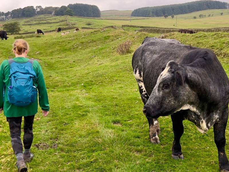 HWP Day 5: Twice Brewed to Greenhead /&nbsp;Haltwhistle