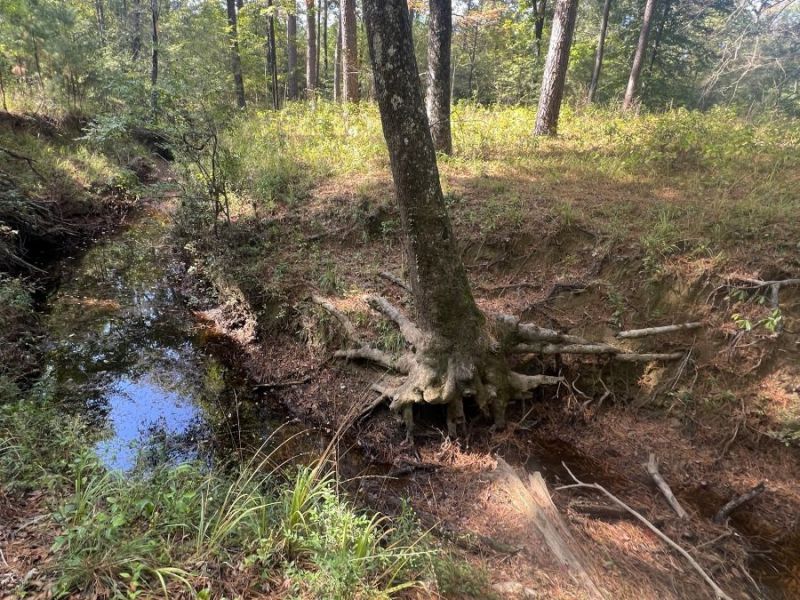 Revisiting the Trail Between The&nbsp;Lakes