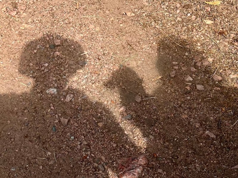 Summer ‘26 Trek: Day 4:&nbsp;Hiking