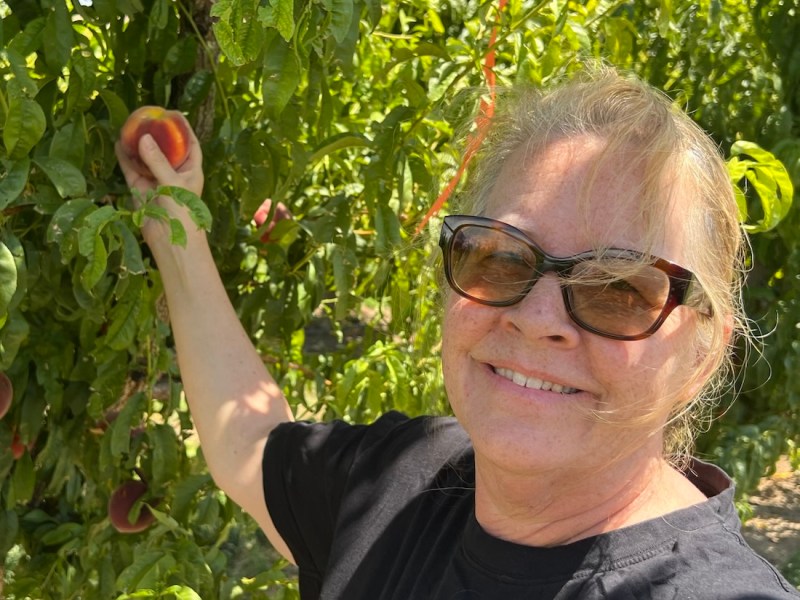 Summer ‘26 Trek: Day 14: Peachy in&nbsp;Palisades
