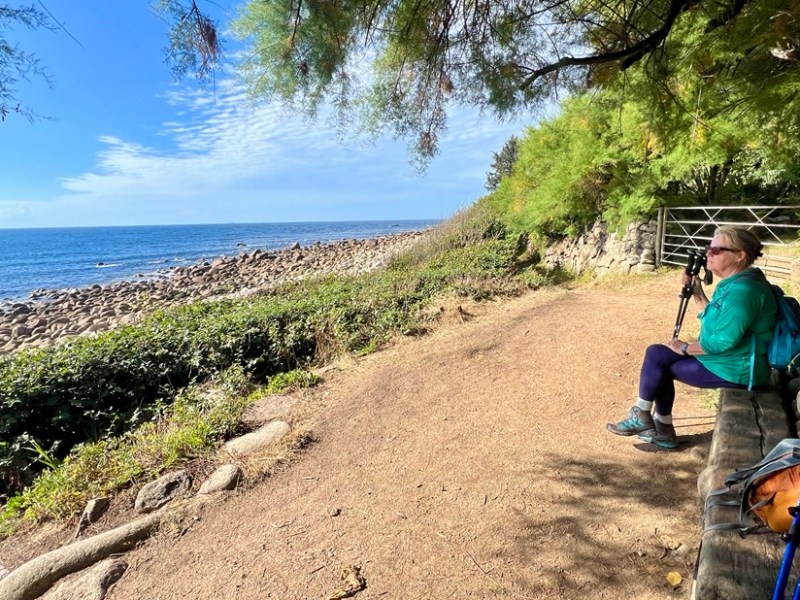 SWCP Day 2 Treen to&nbsp;Mousehole