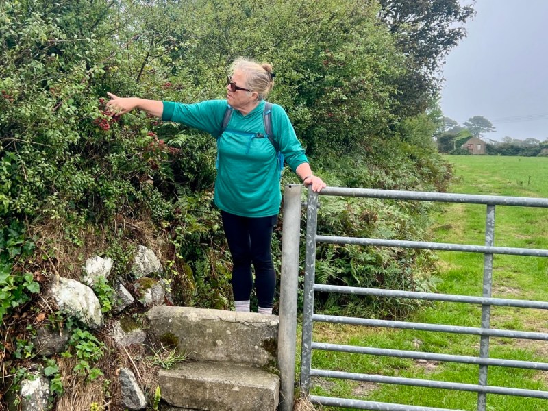 SWCP Day 8 Coverack to&nbsp;Porthallow