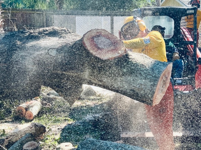 Hurricane Isaias Cleanup Day&nbsp;4